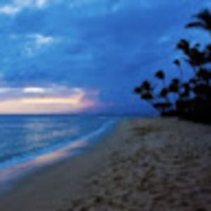 Meet your Posher, Zaria